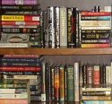 Shelves of books of a private library