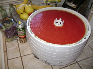 Fruit blend poured onto a dehydrator try and ready for dehydration