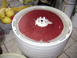 Dried strawberry leather cooling in the tray